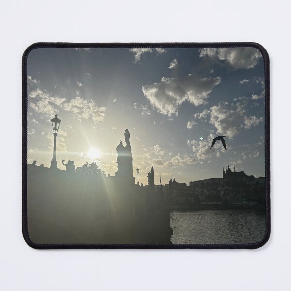 Item preview, Seagull in Prague designed and sold by Sunshine-Pics.