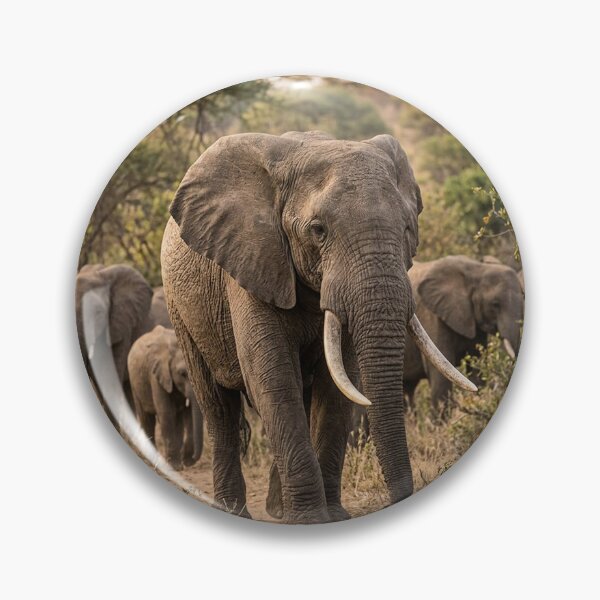 Item preview, migrating elephants designed and sold by snoWorkshop.