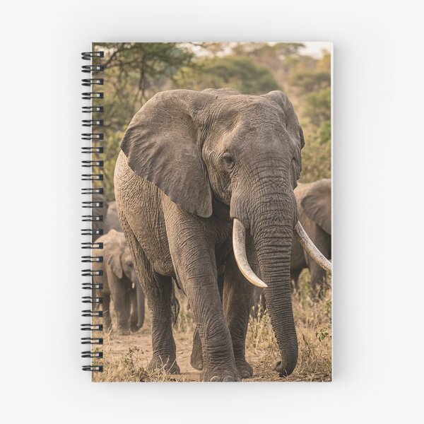 Item preview, migrating elephants designed and sold by snoWorkshop.