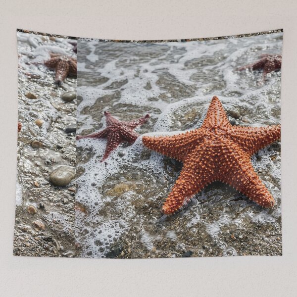 Item preview, Starfish designed and sold by snoWorkshop.