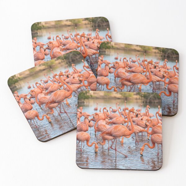 Item preview, Flamingos standing in the lake designed and sold by snoWorkshop.