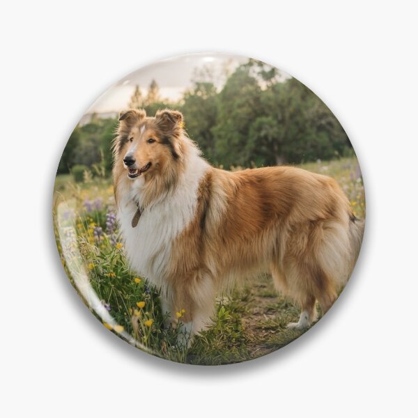 Item preview, Man's best friend designed and sold by Stevercortinas.