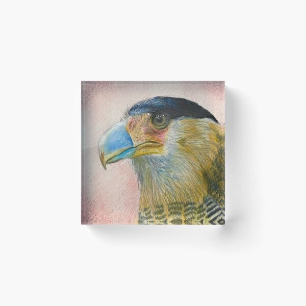 Item preview, Crested Caracara designed and sold by Kaylamoomoo.