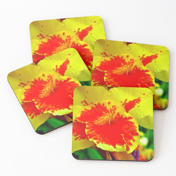 Item preview, Yellow And Red Madeira Iris Summer Flower designed and sold by AndyEvansPhotos.