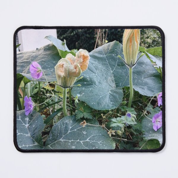 Item preview, Pumpkin Flowers Among Large Green Leaves designed and sold by PhuongVoArt.