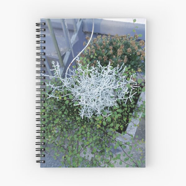 Artikelvorschau, Silver Branching Foliage Among Greenery entworfen und verkauft von PhuongVoArt.
