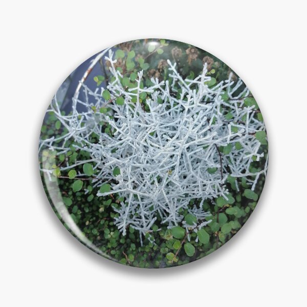 Artikelvorschau, Silver Branching Foliage Among Greenery entworfen und verkauft von PhuongVoArt.