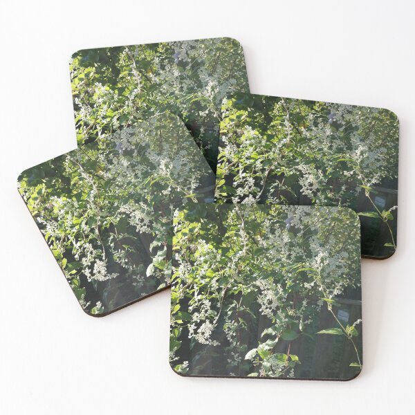 Item preview, White Flowers Among Green Foliage designed and sold by PhuongVoArt.