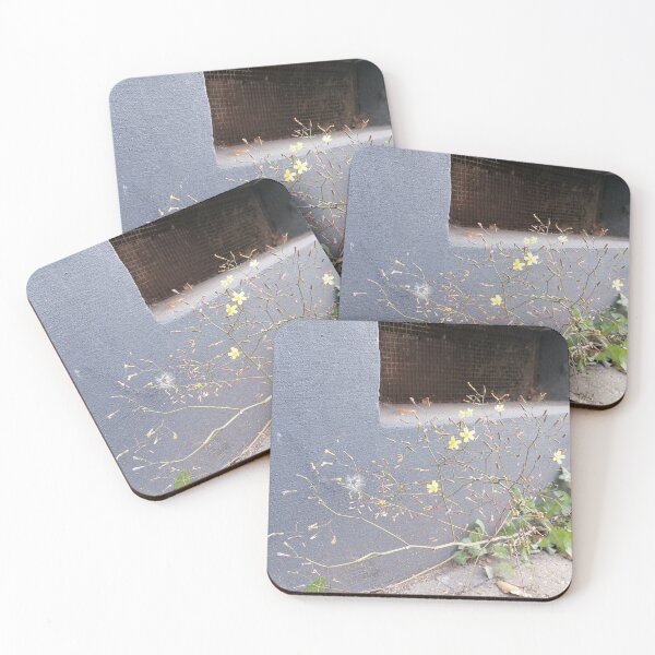 Item preview, Delicate Yellow Flowers Growing Outdoors designed and sold by PhuongVoArt.