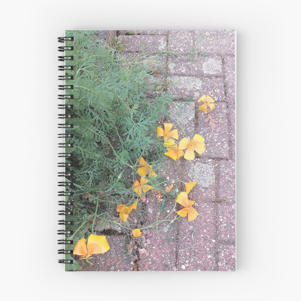 Item preview, Orange Poppy Flowers Alongside Pavement designed and sold by PhuongVoArt.