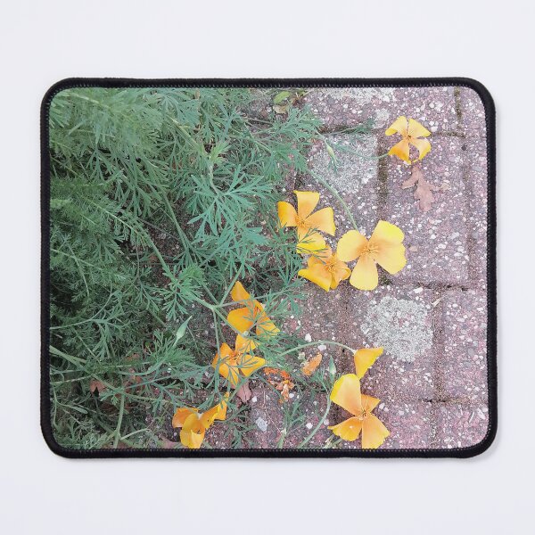 Artikelvorschau, Orange Poppy Flowers Alongside Pavement entworfen und verkauft von PhuongVoArt.