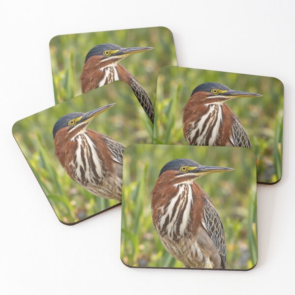 Item preview, Green Heron Among the Reeds designed and sold by Kimberly Palmer.