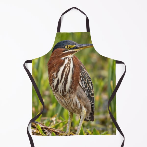 Item preview, Green Heron Among the Reeds designed and sold by Kimberly Palmer.