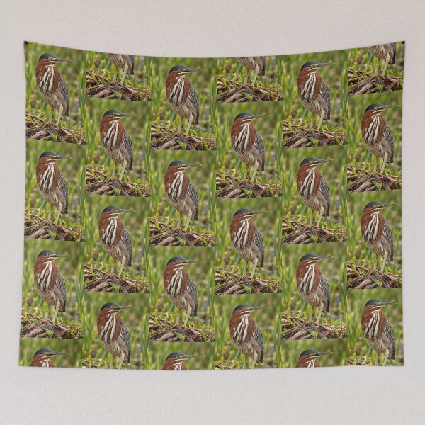 Item preview, Green Heron Among the Reeds designed and sold by Kimberly Palmer.