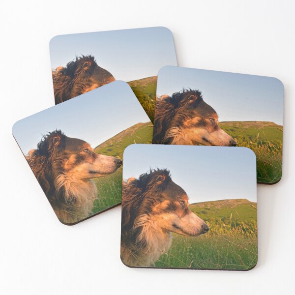 Item preview, What's it all about, Laddie? designed and sold by Michael Haslam.