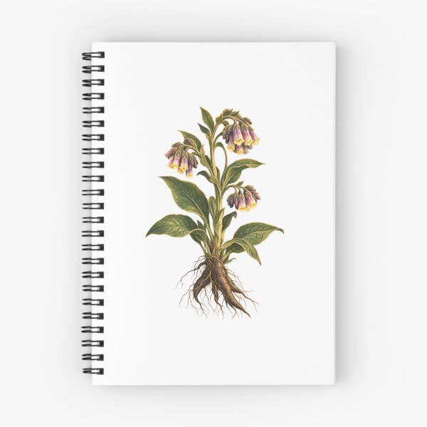 Item preview, Comfrey Botanical | Vintage Apothecary Herb Art | Herbalist Gift designed and sold by Brackenlume Studio.