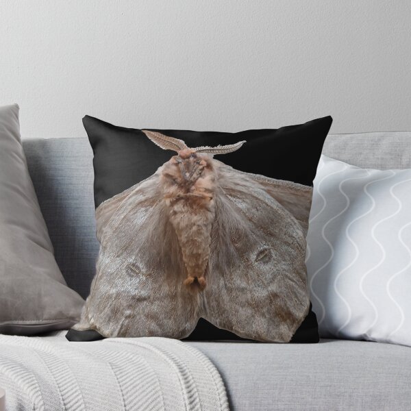 Item preview, Moth after light designed and sold by Nnone.