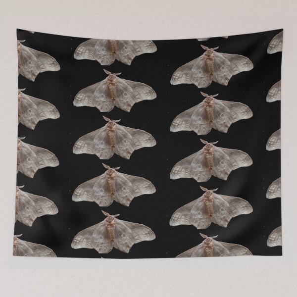 Item preview, Moth after light designed and sold by Nnone.
