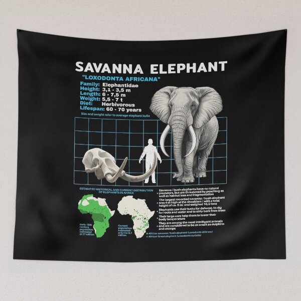 Item preview, Savanna Elephant Fact Sheet designed and sold by NicGrayGraphic.
