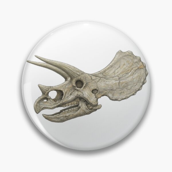 Item preview, Triceratops Skull Fossil designed and sold by Chaoscience.