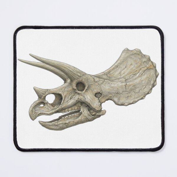 Item preview, Triceratops Skull Fossil designed and sold by Chaoscience.