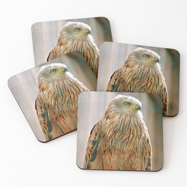 Item preview, Milano real, santuario de búhos de Suffolk designed and sold by RJKYTE1970.