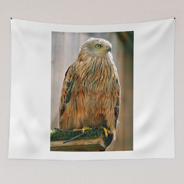 Item preview, Red Kite, Suffolk Owl Sanctuary designed and sold by RJKYTE1970.