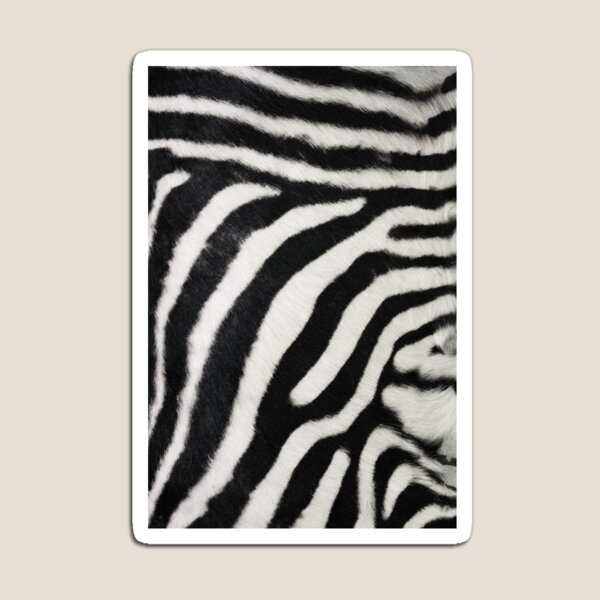Item preview, Zebra print  designed and sold by chihuahuashower.