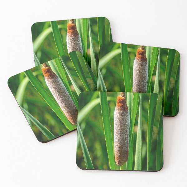 Item preview, Cattails designed and sold by TinyDinoDesigns.