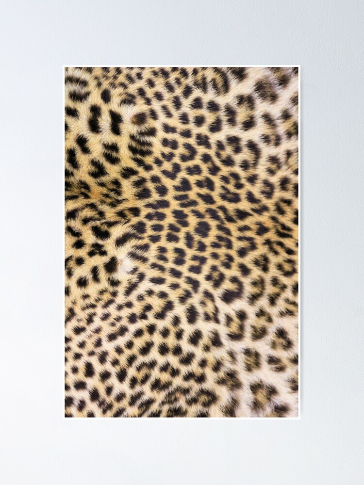 Alternate view of Leopard print Poster