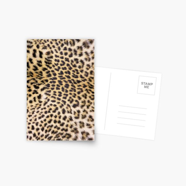 Leopard print Postcard