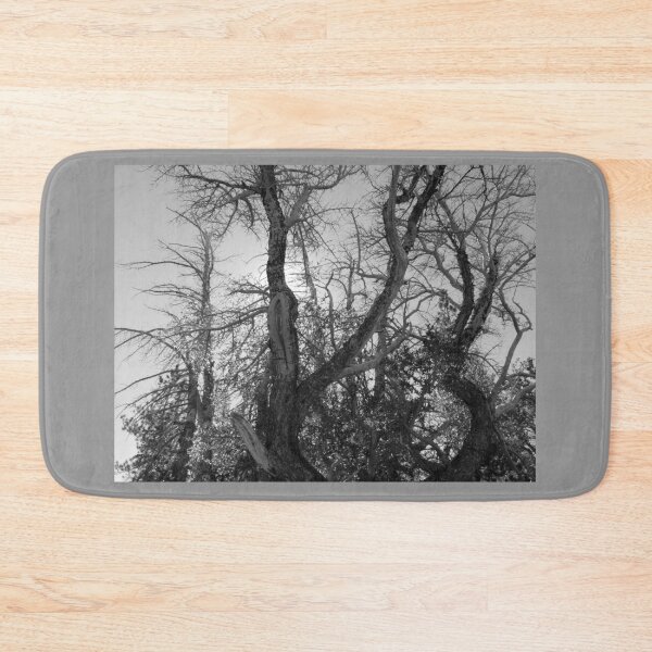 Item preview, Wild Trees in the Wilderness designed and sold by Robert Ball.