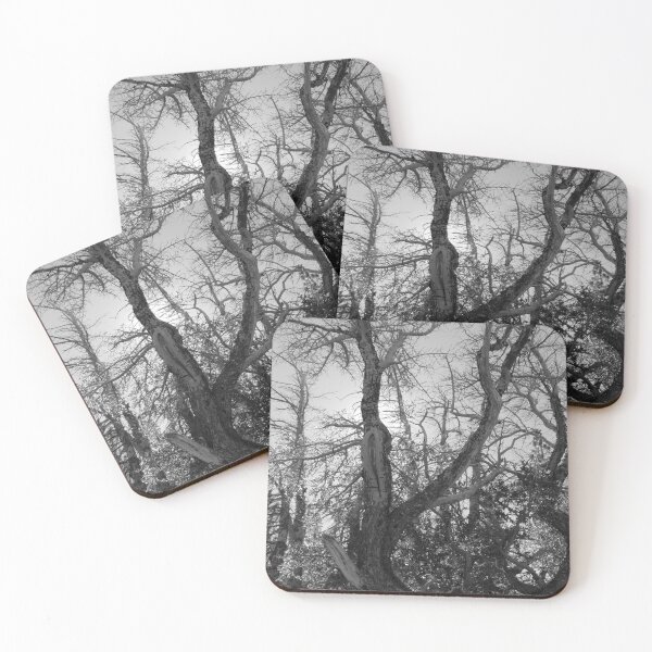 Item preview, Wild Trees in the Wilderness designed and sold by Robert Ball.