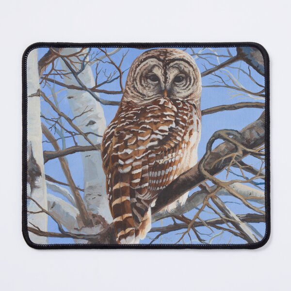 Item preview, Lois in the Birch - barred owl designed and sold by EvaCreature.