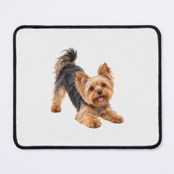 Item preview, Yorkshire terrier dog blue and tan playing  designed and sold by BackgroundND.
