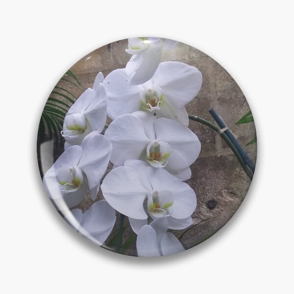 Item preview, Moth orchids designed and sold by Ben Waggoner.