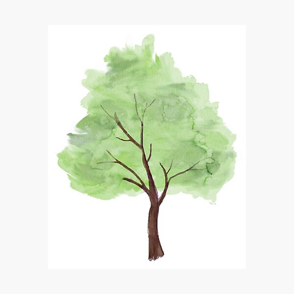 Watercolor Tree Photographic Print for Sale by jay-p