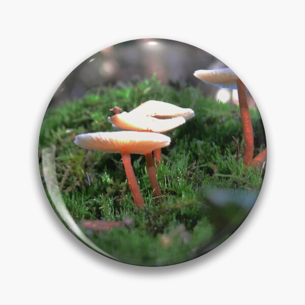 Item preview, Where Fairies Dwell designed and sold by Larry Davis.