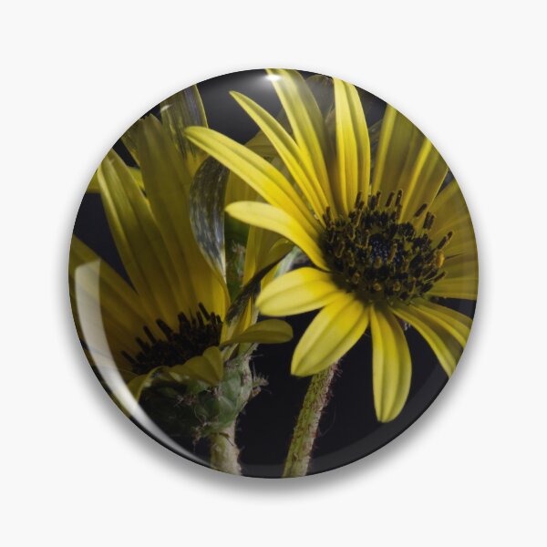 Item preview, Golden Cape Marigold designed and sold by PauloVale.