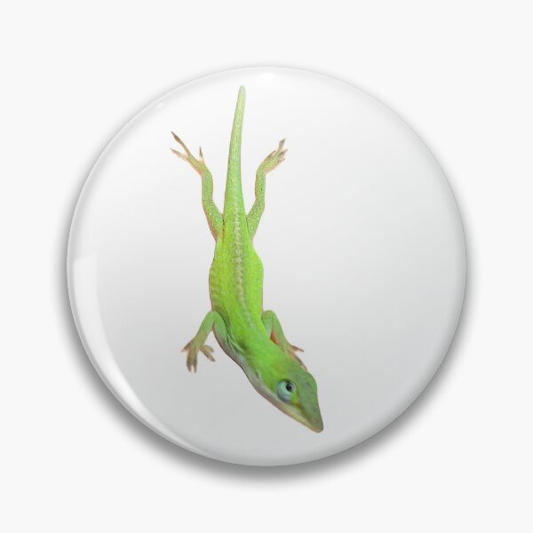 Item preview, Anole designed and sold by 4 Rescued Exotics.