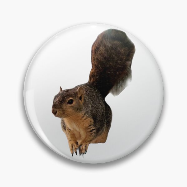 Item preview, Squirrel  designed and sold by 4 Rescued Exotics.
