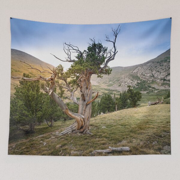 Item preview, Guardian of the Treeline designed and sold by Brian Kerls Photography.