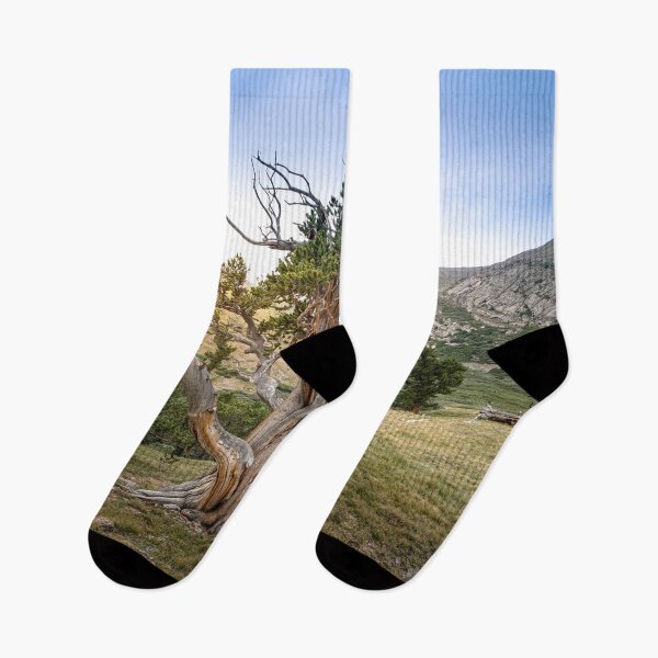 Item preview, Guardian of the Treeline designed and sold by Brian Kerls Photography.