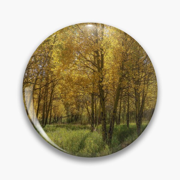 Item preview, Through The Aspens designed and sold by Brian Kerls Photography.
