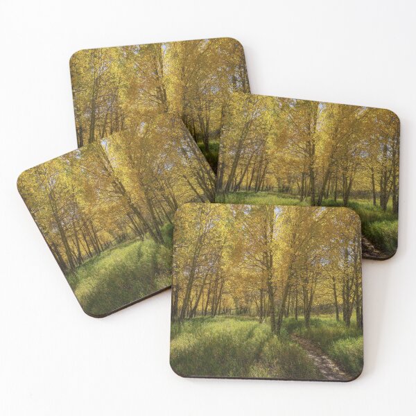 Item preview, Through The Aspens designed and sold by Brian Kerls Photography.