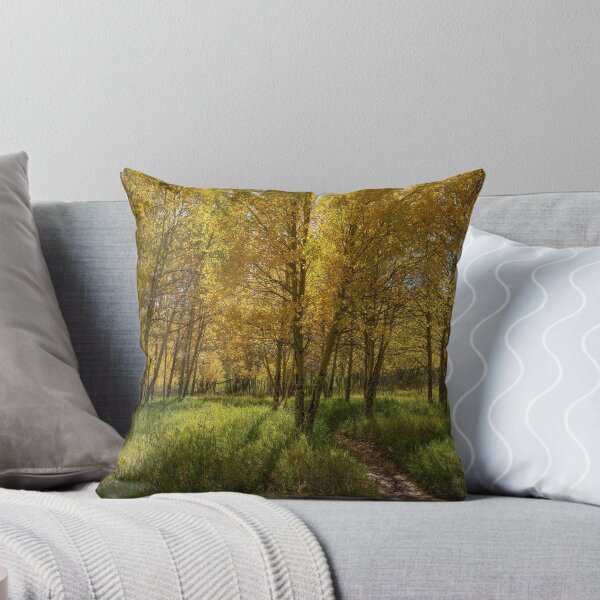 Item preview, Through The Aspens designed and sold by Brian Kerls Photography.
