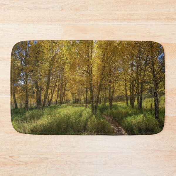 Item preview, Through The Aspens designed and sold by Brian Kerls Photography.