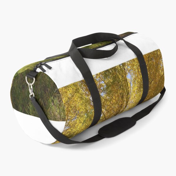 Item preview, Through The Aspens designed and sold by Brian Kerls Photography.