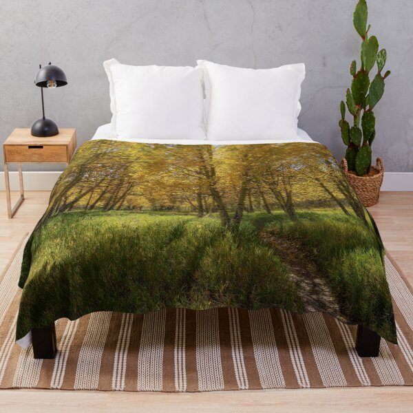 Item preview, Through The Aspens designed and sold by Brian Kerls Photography.