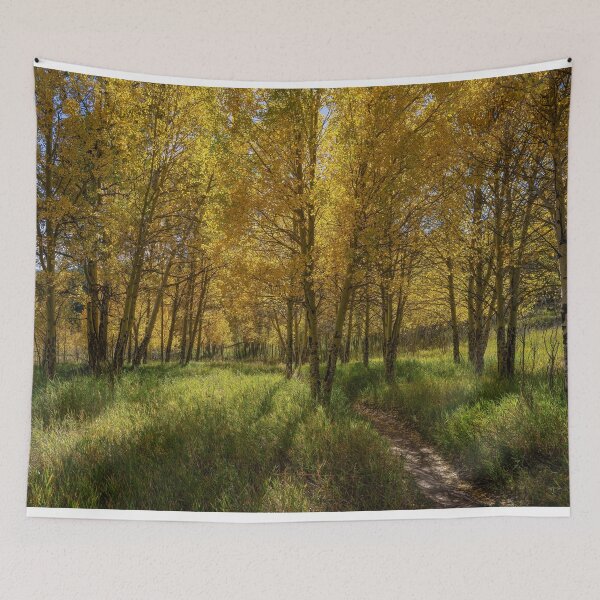 Item preview, Through The Aspens designed and sold by Brian Kerls Photography.